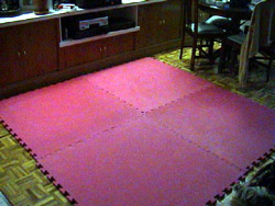 tatami 004mini.JPG